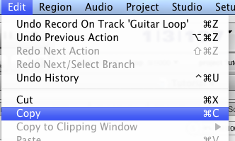 Step 09 - In the edit menu, select copy Step 09 - In the edit menu, select copy